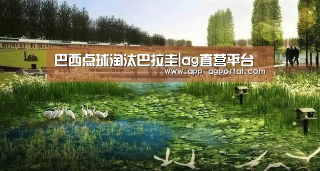 巴西点球淘汰巴拉圭|ag直营平台(图1) ag官网
