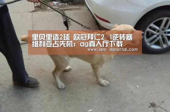 ag娱乐平台